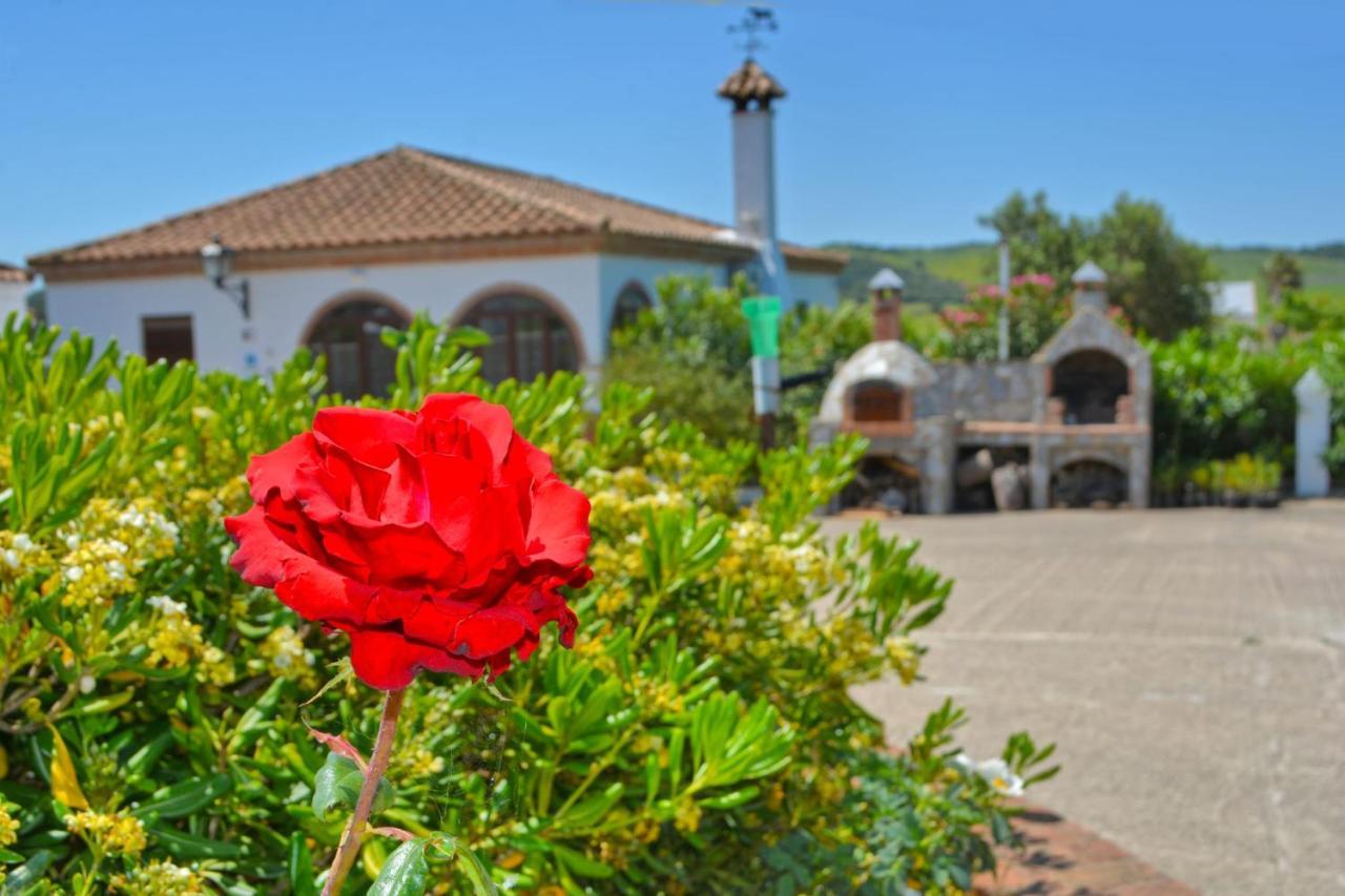 Vila La Esperanza 1 Y 2 Medina-Sidonia Exteriér fotografie